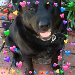 Meet your Posher, Deborah